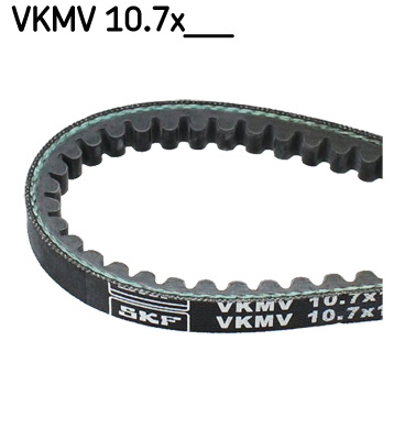 7316575359669 | V-Belt SKF vkmv 10.7x894